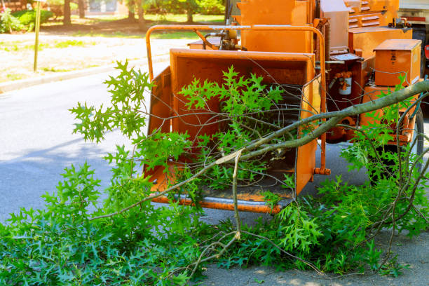 Best Commercial Tree Services  in Ocean Park, WA